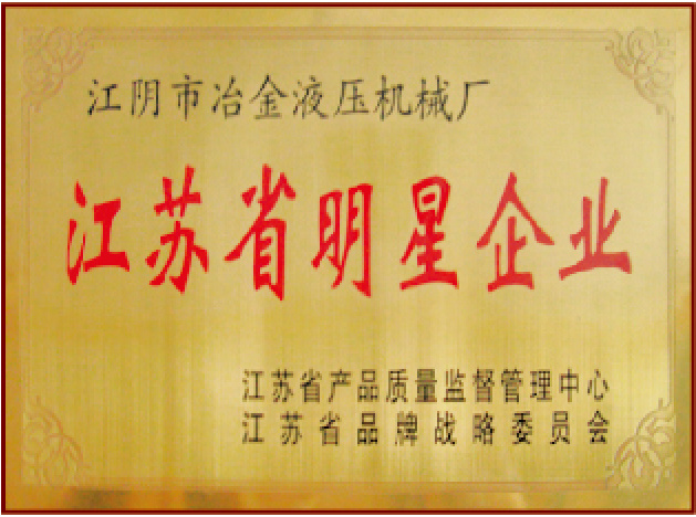 江苏省明星企业 